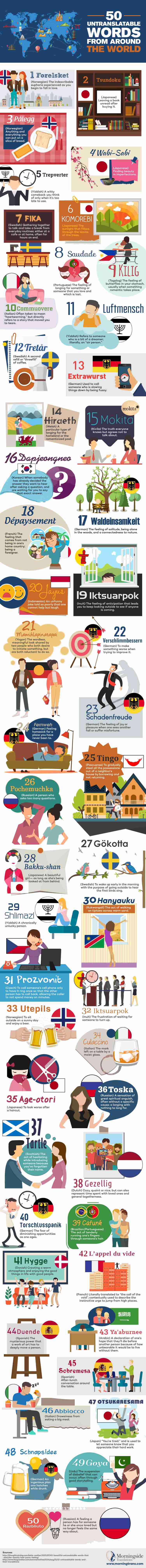 Morningside Translations Infographic (1) (1) (1)