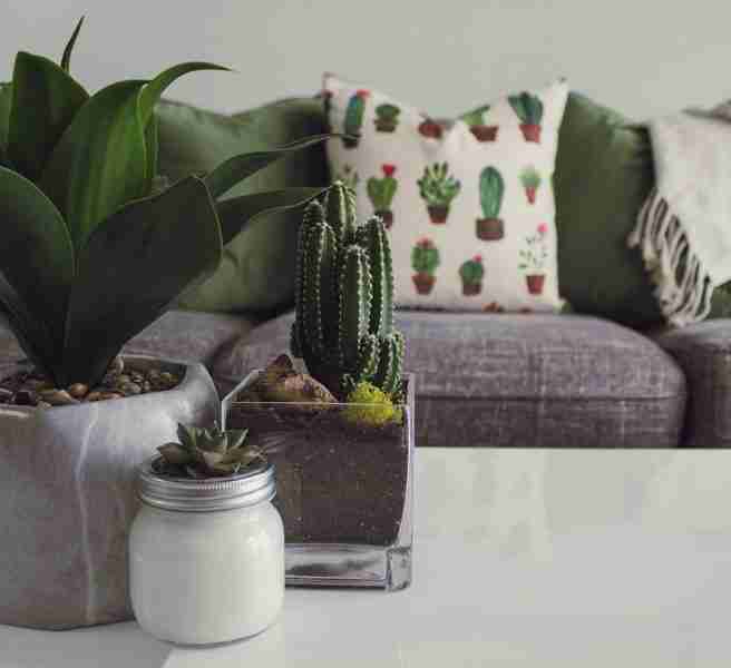 home decor