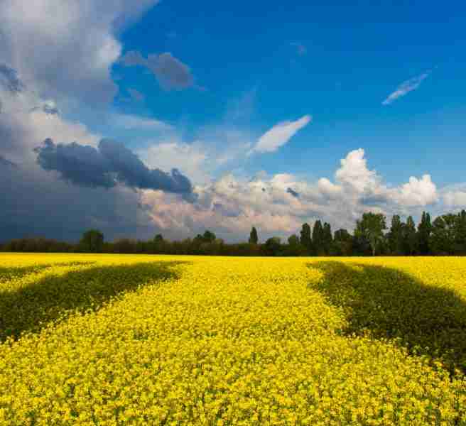 discover ukraine