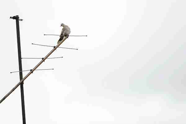 tv aerial