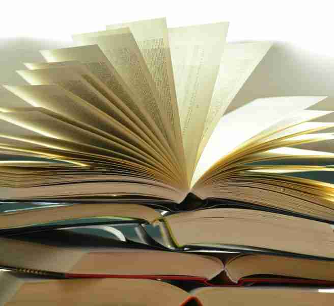 summer reading activities