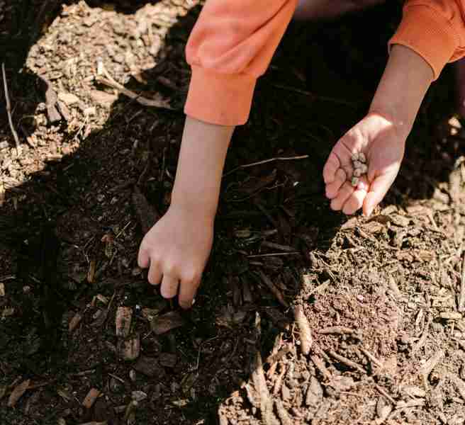 kids gardening