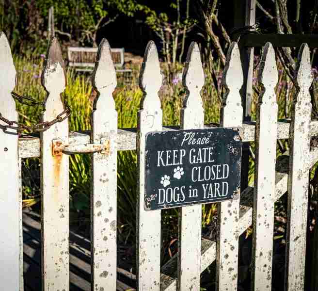 outdoor security