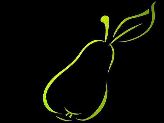pear shaped body contours