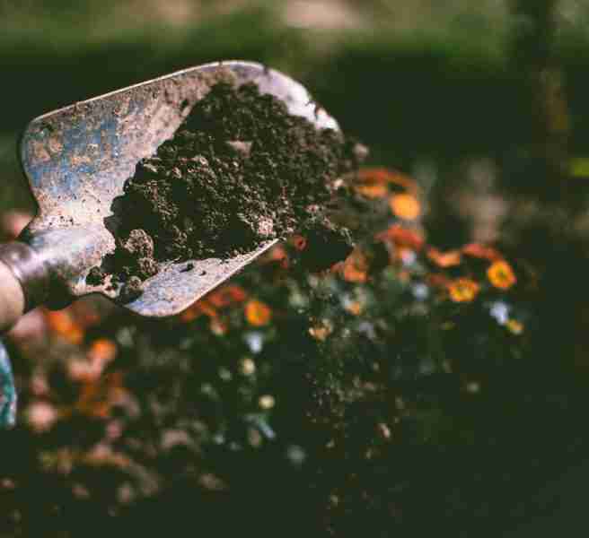 sustainable landscaping