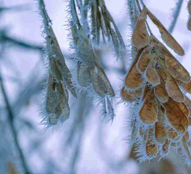 health in winter