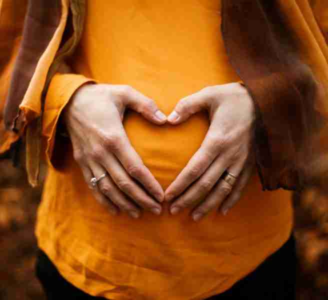 understanding fertility