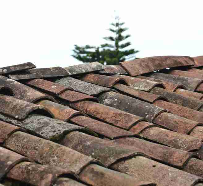 roof damage