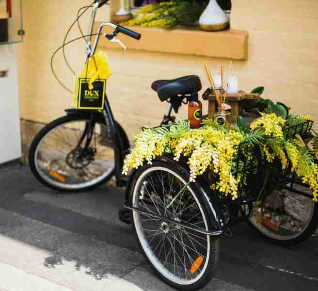 tricycle