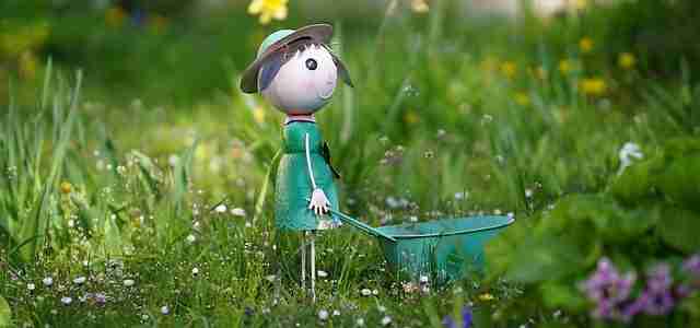 garden maintenance tips