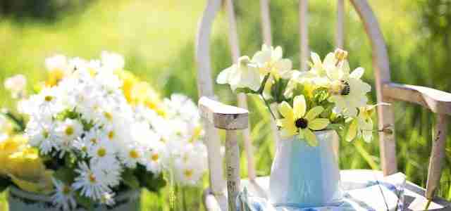 garden makeover