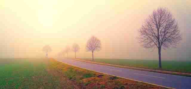 peace through haze