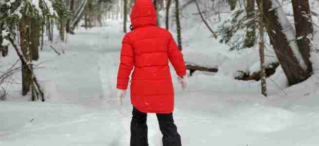 snowshoes