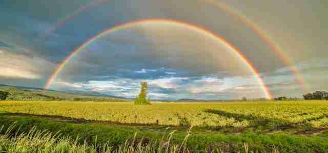 rainbow over field