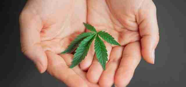 medical marijuana
